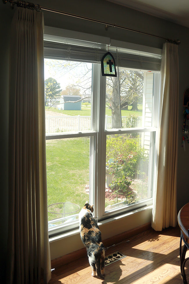 Kitchen0_WindowsDirty