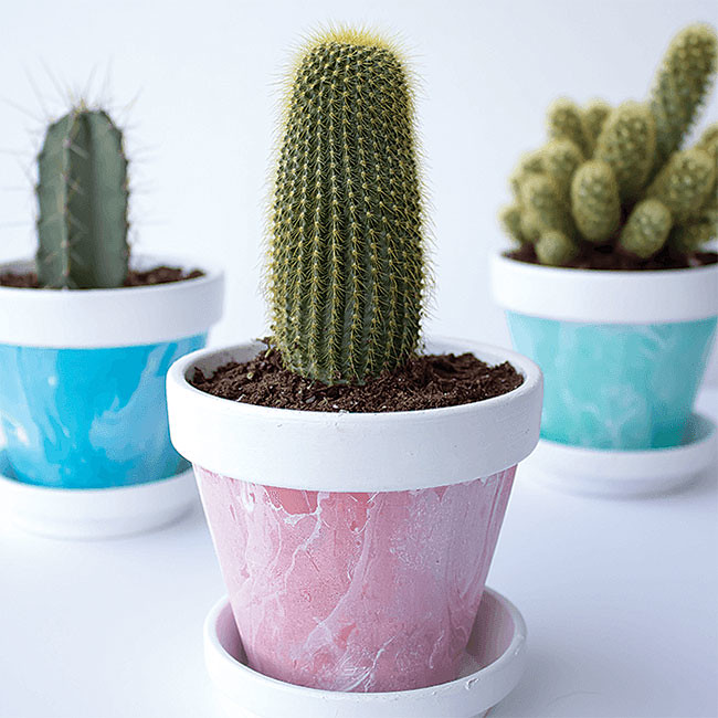 MarblePots_650