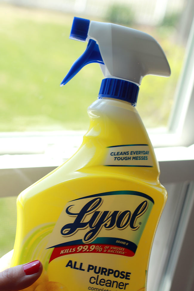 Kitchen2_Lysol-All-Purpose