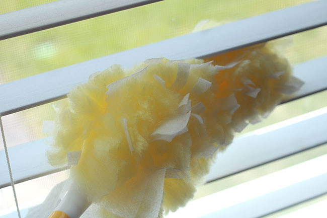 Kitchen1_Dust-Blinds