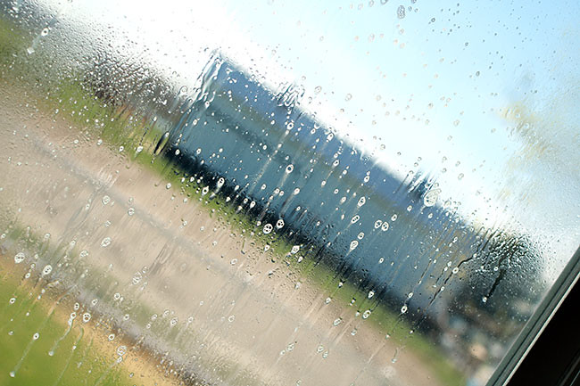 Kitchen3_Spray-Windows