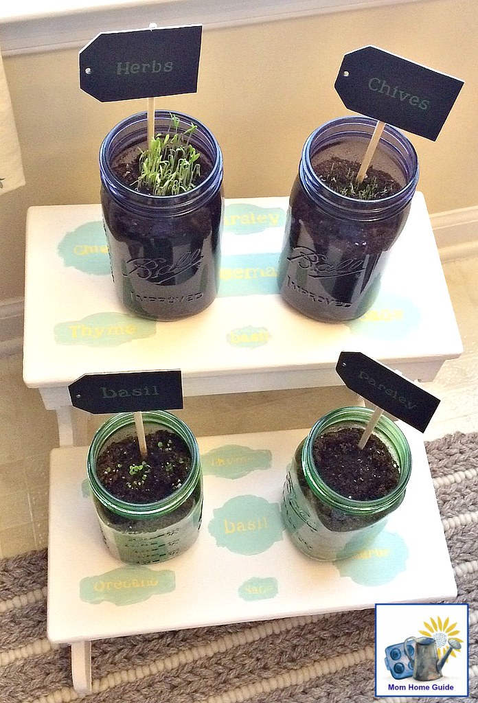 new-herb-stand-mom-home-guide