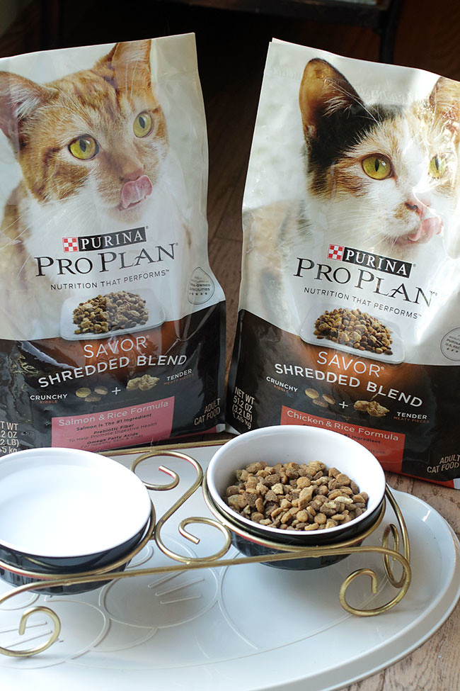 Purina1