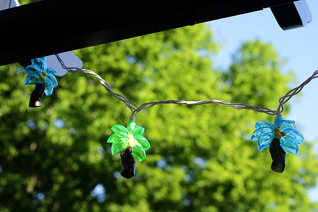 BackPatio11
