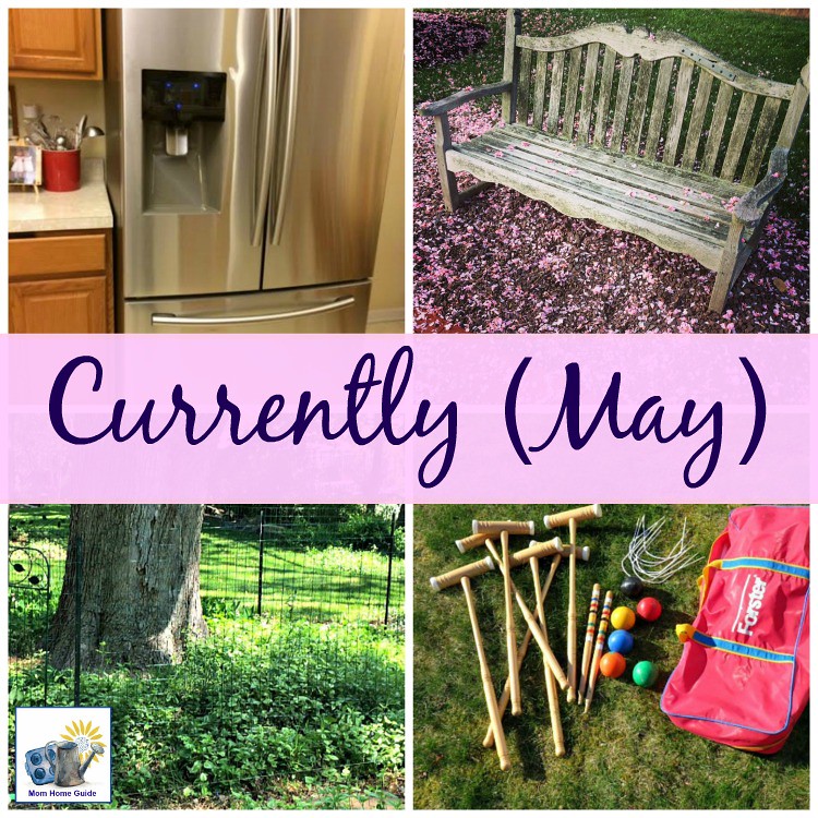 currently-may-mom-home-guide
