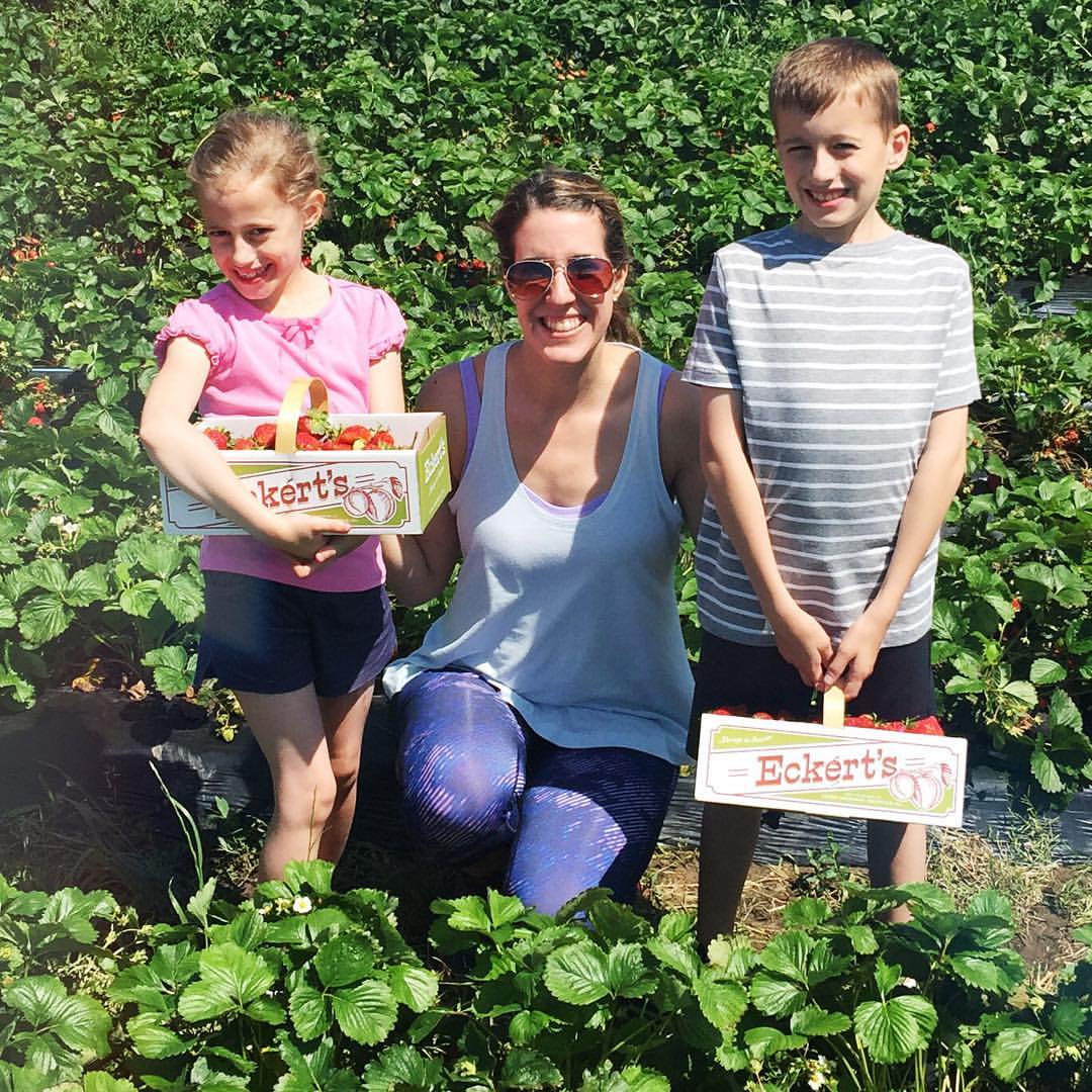 Kids had a half day today, so we headed over to Eckerts to pick some delicious and juicy strawberries! 🍓🍓🍓 Such a fun day with these two, love them so much!! #happymom #strawberrypicking #eckerts