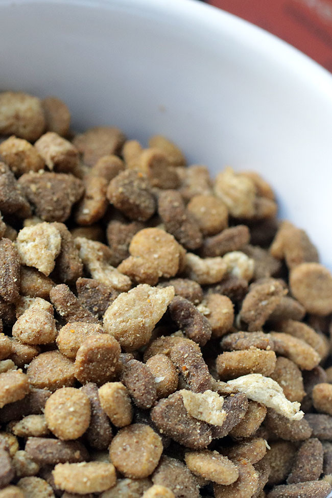 Purina2