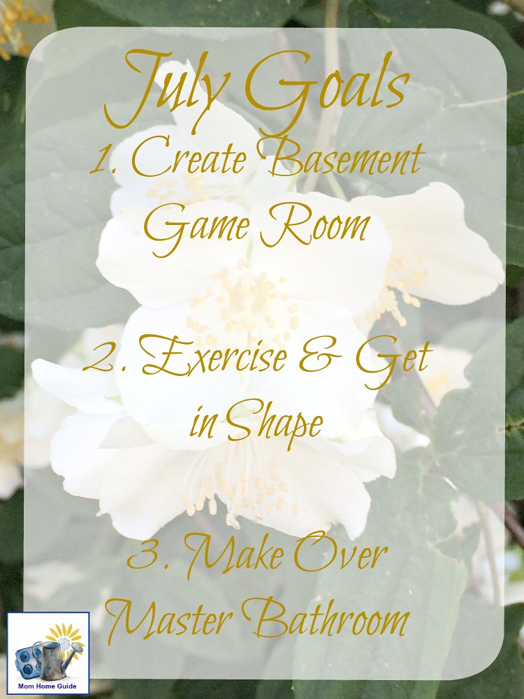 goals-july-mom-home-guide
