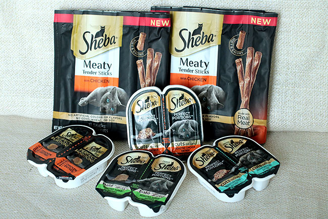 Sheba1