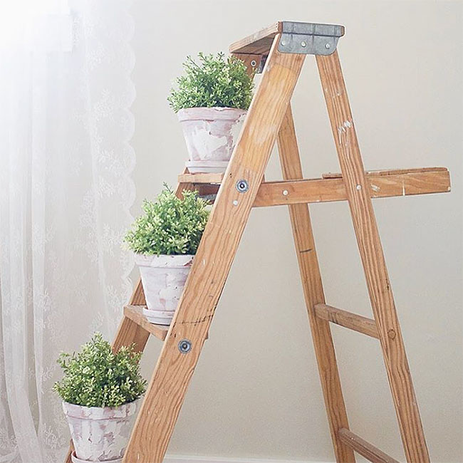 ladder_650