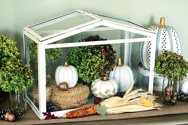 Terranium1