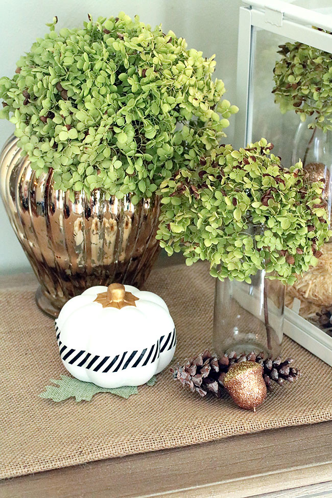 Terranium3