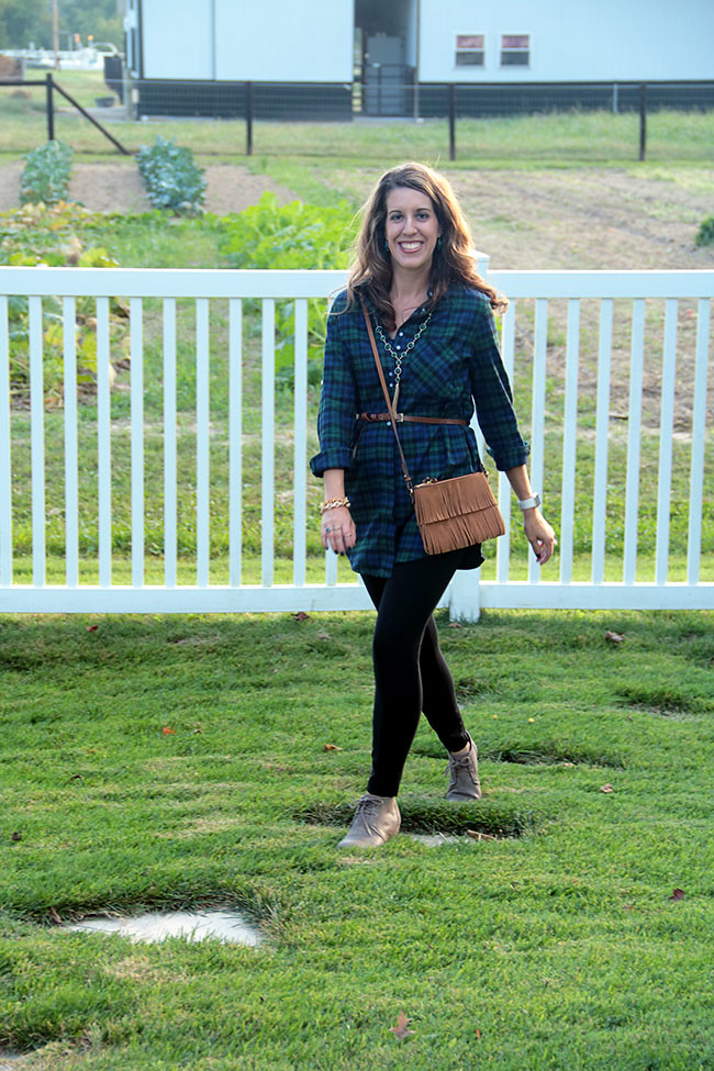 Plaid3
