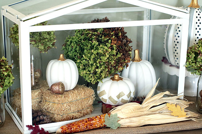 Terranium2