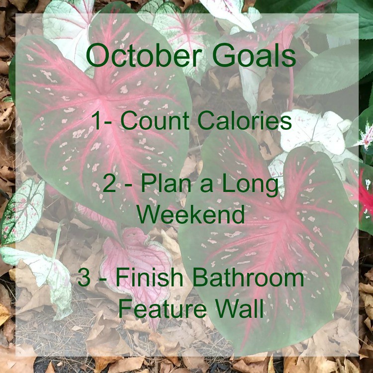 Goals-October-NEW-mom-home-guide