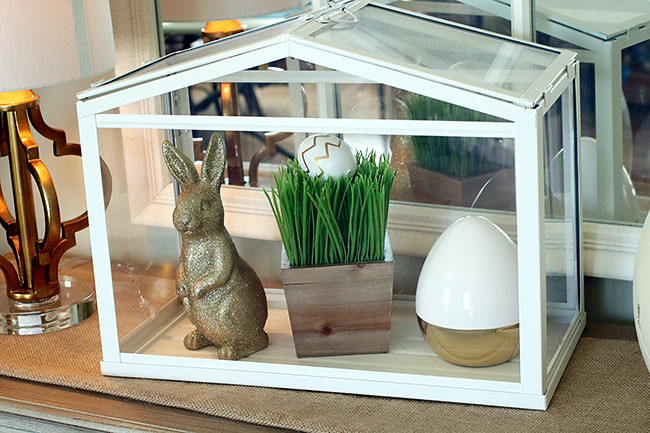 Terrarium