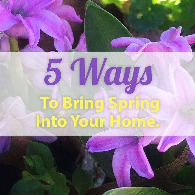 5WaystoBringSpring_650