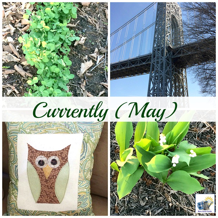 May-Currently-mom-home-guide