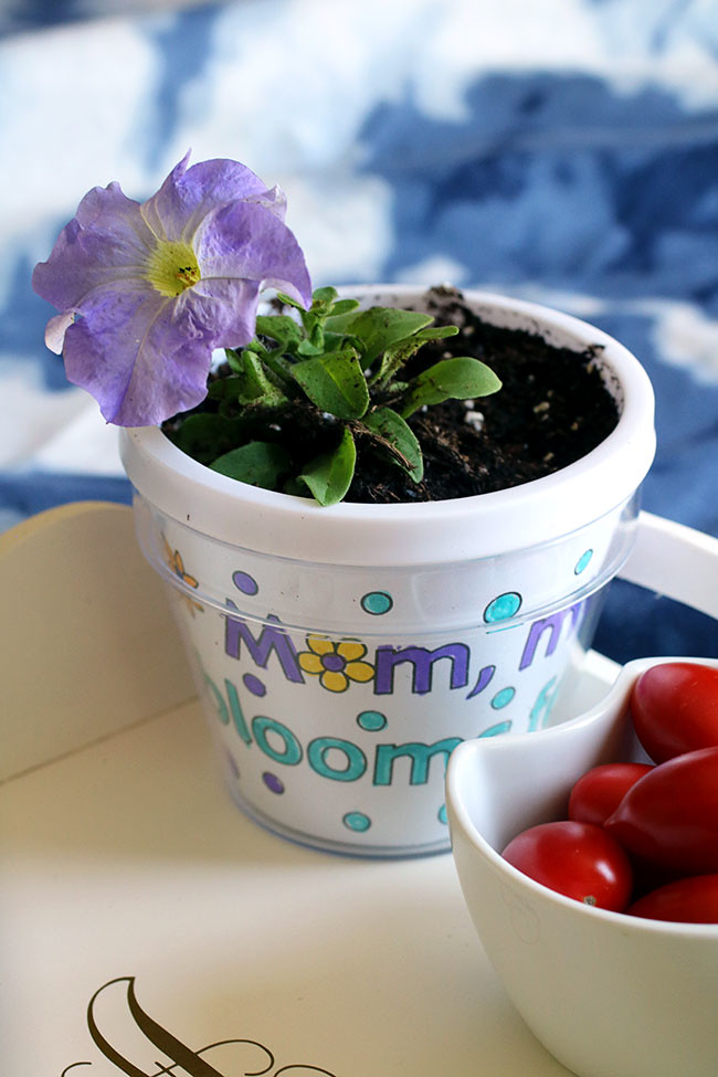 Flowerpot1