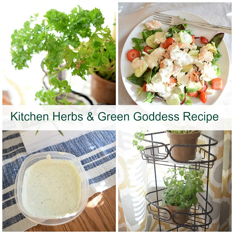 may-garden-herbs-kitchen-green-goddess-dressing-mom-home-guide