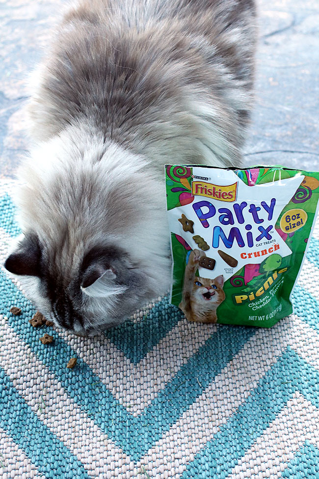 Purina4