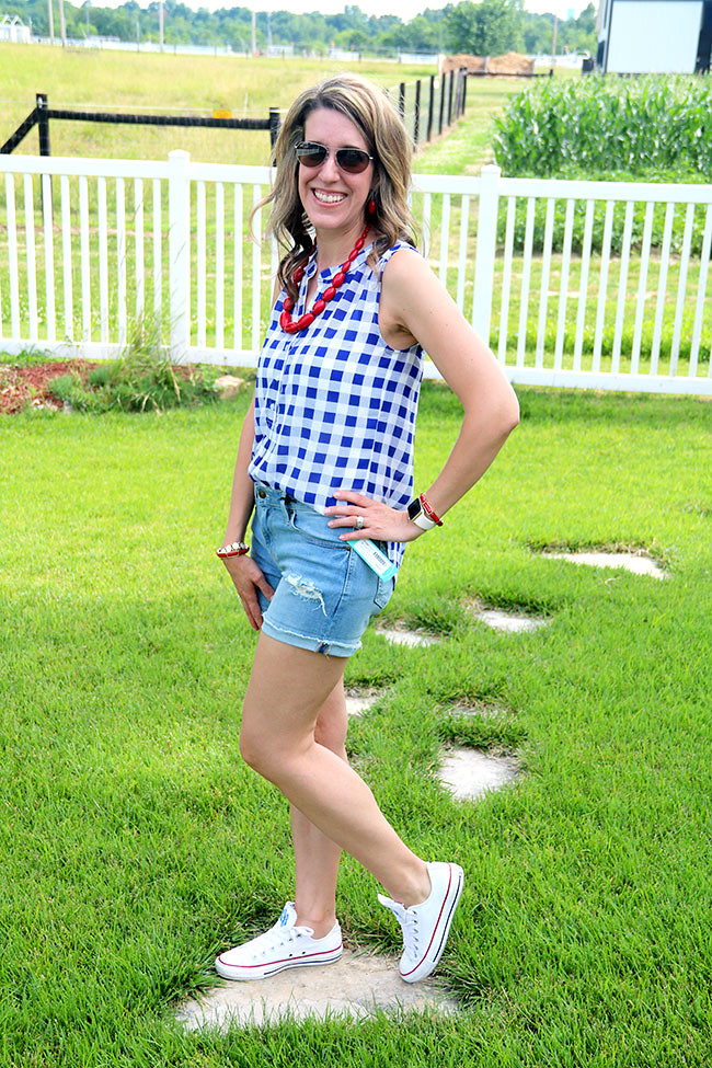 Gingham2