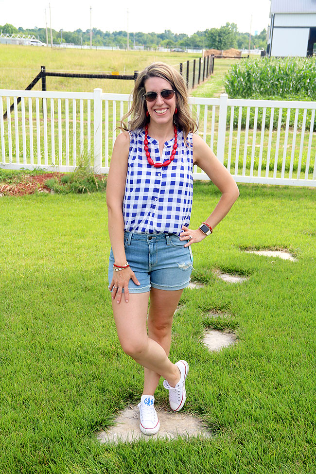 Gingham1