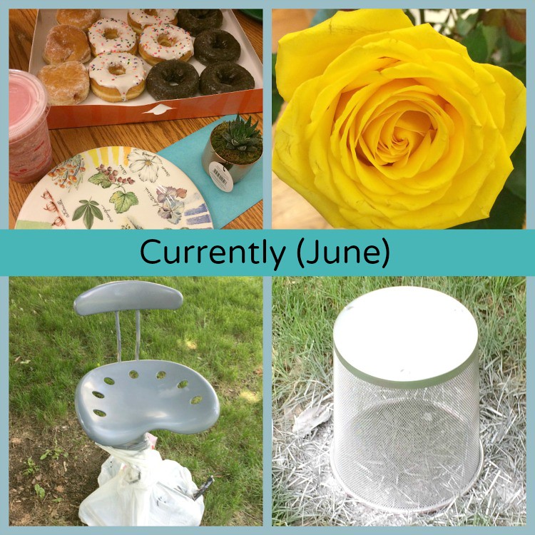 june-currently-collage-mom-home-guide