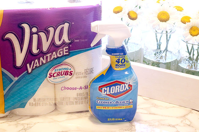 CloroxANDViva1