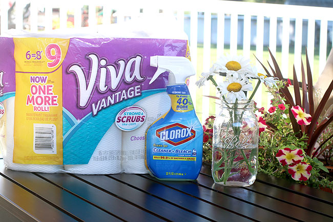 CloroxANDViva2