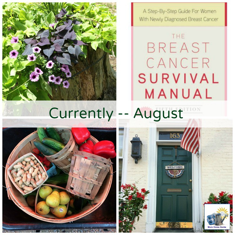 august-2017-currently-mom-home-guide