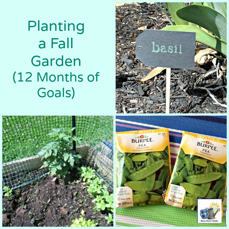 august-2017-goal-mom-home-guide