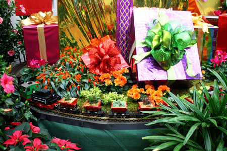 train-with-plants