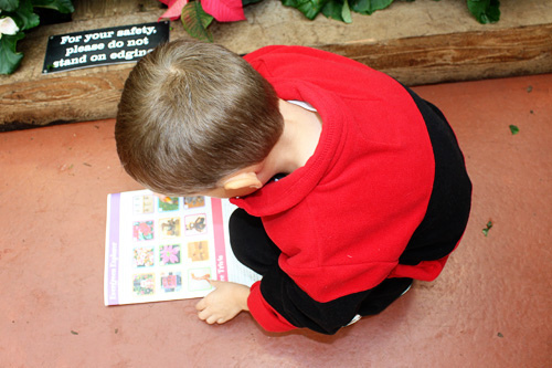 Nathan-book