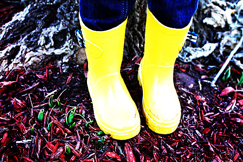Autumns Boots Next to First Sign of Spring