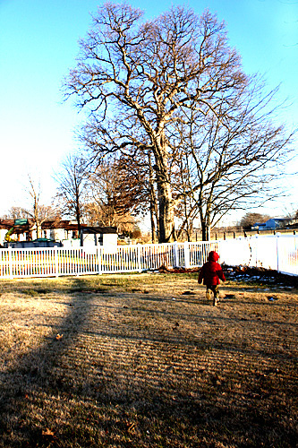 Nathan running, Fence Shadows