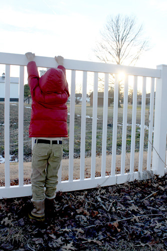 Nathan-peaking-over-fence