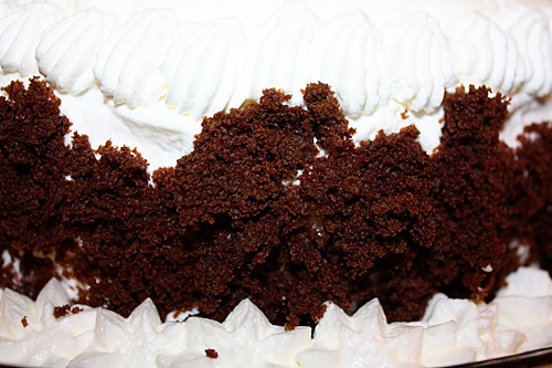 cake-crumbs