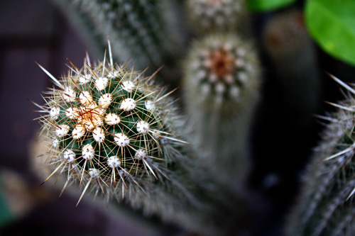 Aperture2