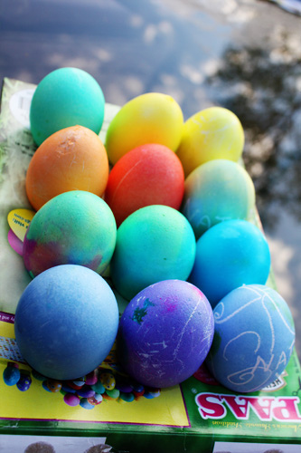 Nathans-eggs