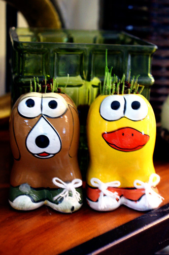 grass-growing