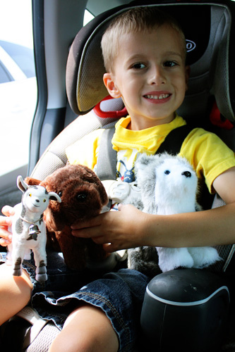 Nathan-and-his-pets