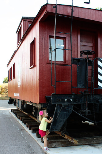 Auttie-getting-on-train