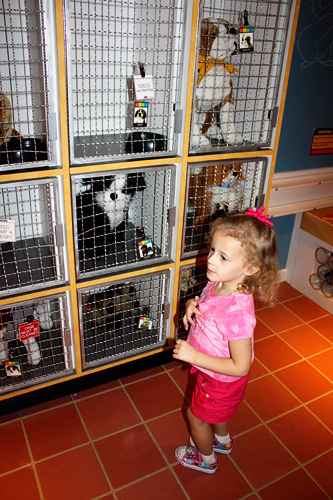 Dog-cages