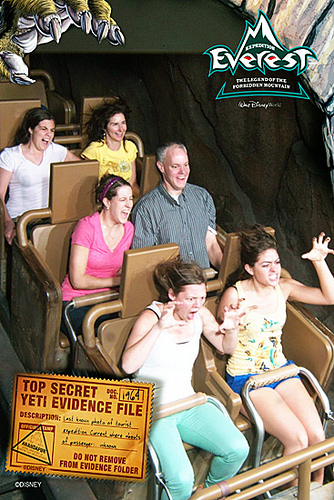 Roller-coaster_LR