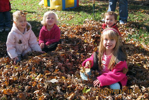 Leaves_Autumn-Sitting