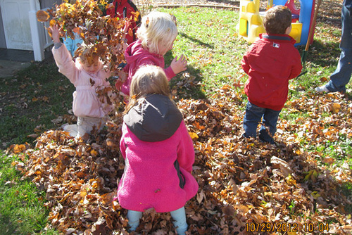 Leaves_Aut-Throwing
