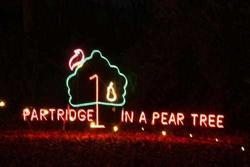 Partridge-in-a-Pair-Tree