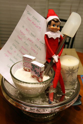 Elfie-With-Seeds