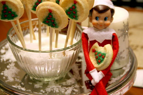Closeup-Elfie-and-Cookie